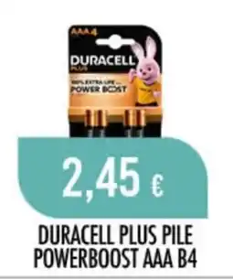 Scelgo DURACELL PLUS PILE POWERBOOST AAA offerta