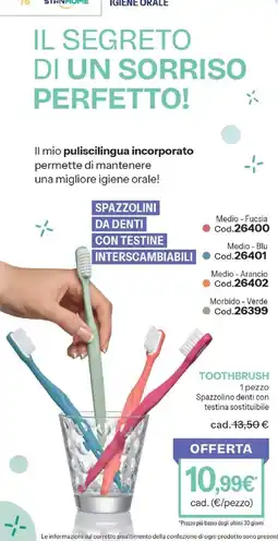 Stanhome SPAZZOLINI DA DENTI CON TESTINE INTERSCAMBIABILI offerta