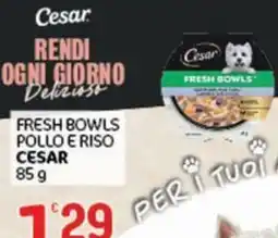 Crai Fresh bowls pollo e riso Cesar offerta