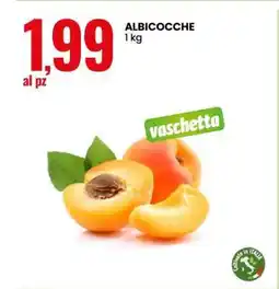 Eurospin Albicocche offerta