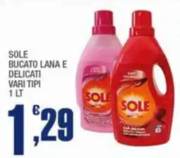 Splendidi e Splendenti Sole bucato lana e delicati offerta