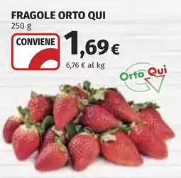 Coop Fragole Orto Qui offerta