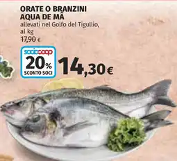 Coop ORATE O BRANZINI AQUA DE MÂ offerta