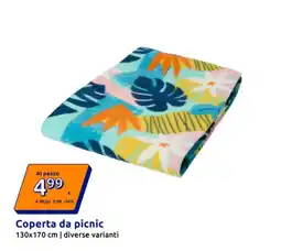 Action Coperta da picnic offerta