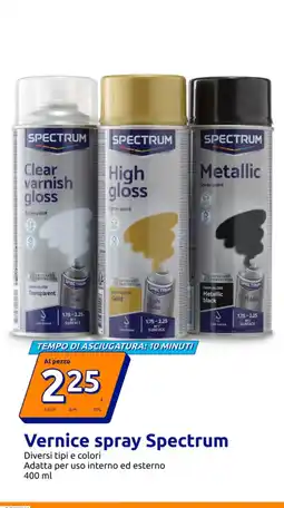 Action Vernice spray Spectrum offerta