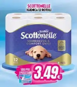 Vitulano Drugstore Scottonelle offerta