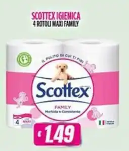Vitulano Drugstore Scottex Igiene Family offerta