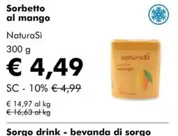 NaturaSì Sorbetto al mango NaturaSi offerta