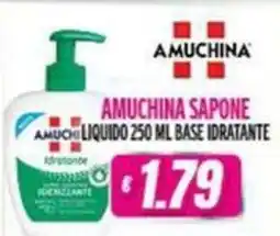 Vitulano Drugstore AMUCHINA SAPONE LIQUIDO offerta