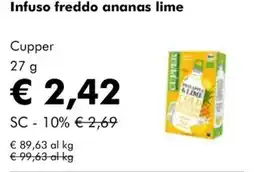 NaturaSì Infuso freddo ananas lime Copper offerta