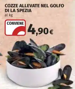 Coop Superstore Cozze allevate nel golfo di La Spezia offerta