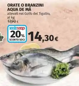 Coop Superstore ORATE O BRANZINI AQUA DE MÃ offerta