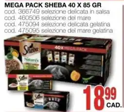 Mondo Brico Sheba offerta