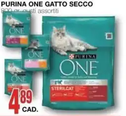Mondo Brico Purina One Gatto Secco offerta