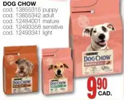 Mondo Brico Dog Chow offerta