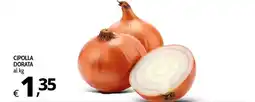 Primo Prezzo Cipolla Dorata offerta