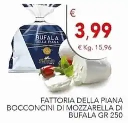 Diper FATTORIA DELLA PIANA BOCCONCINI DI MOZZARELLA DI BUFALA offerta