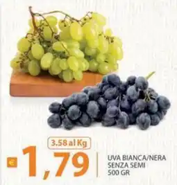 Re Mercato Lucrezia UVA BIANCA/NERA SENZA SEMI offerta