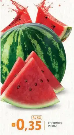 Re Mercato Lucrezia Cocomero Intero offerta