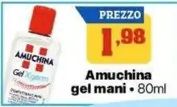 Pianeta Pulito Amuchina gel mani offerta