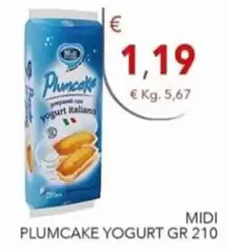 Diper Plumcake Yogurt MIDI offerta