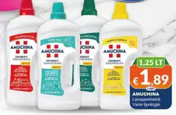 Mister Risparmio AMUCHINA Lavapavimenti offerta