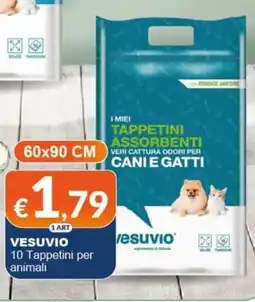 Mister Risparmio I miei tappetini assorbenti Vesuvio offerta
