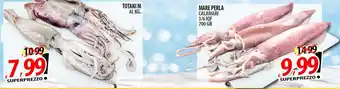 Il Genio Supermercato TOTANI M offerta