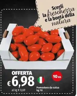 Famila Market Pomodoro da salsa offerta
