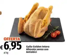 Famila Market Gallo Golden Intero offerta