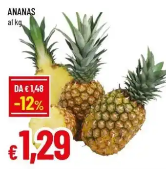 A&O ANANAS offerta