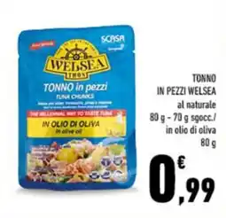Conad City TONNO in pezzi WELSEA offerta
