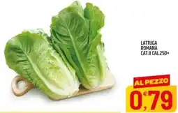 Ard Discount LATTUGA ROMANA offerta