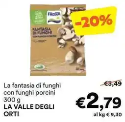 Unes Fantasia di funghi con funghi porcini offerta