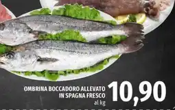 Famila Market Ombrina boccadoro allevato in spagna fresco offerta