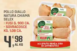 Supermercati Dok Pollo Giallo Natura Chiama Selex offerta