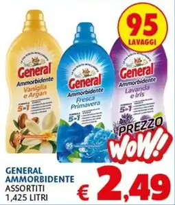 Europlanet Casa General Ammorbidente offerta