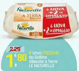 Supermercati Dok Uova fresche LE NATURELLE offerta