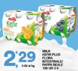 Sisa Milk Kefir Plus offerta