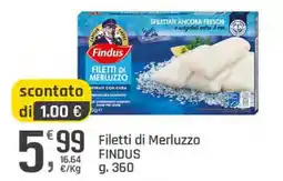 Supermercati Dok Filetti di Merluzzo FINDUS offerta