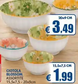 Europlanet Casa CIOTOLA BLOSSOM ASSORTITE offerta