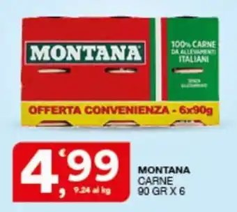 Sisa MONTANA CARNE offerta
