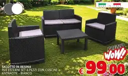 Europlanet Casa SALOTTO IN RESINA offerta