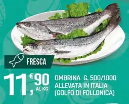 Supermercati Dok OMBRINA offerta