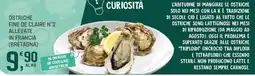 Supermercati Dok Ostriche Fine de Claire N°2 offerta