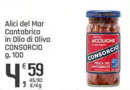 Supermercati Dok Alici del Mar Cantabrico in Olio di Oliva CONSORCIO offerta