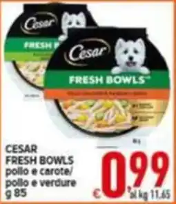 Iper Triscount CESAR FRESH BOWLS pollo e carote/ pollo e verdure offerta