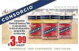 Elite Consorcio Filetti di tonno offerta