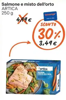 Gelmarket Salmone e misto dell'orto ARTICA offerta