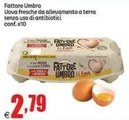 Elite Uova fresche da allevamento a terra senza uso di antibiotici Fattore Umbro offerta
